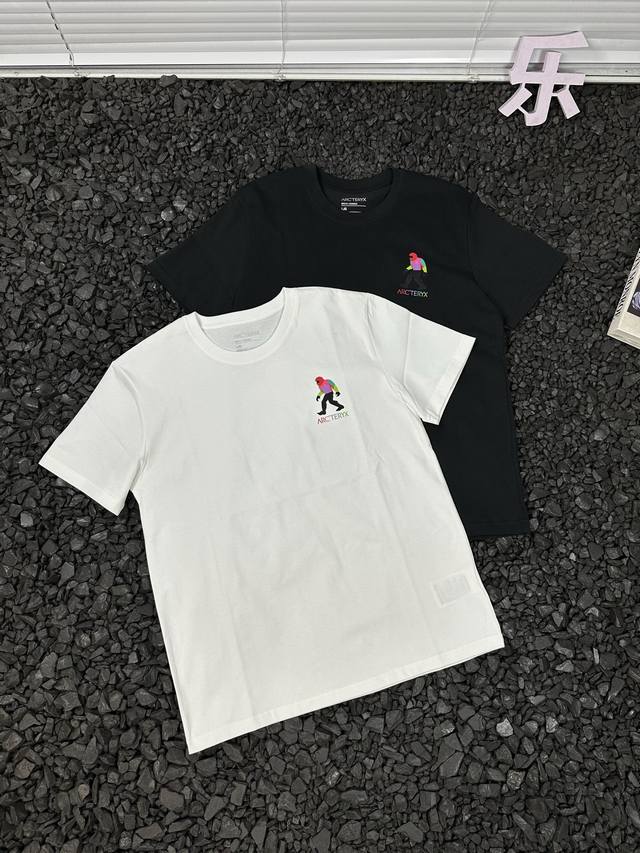 Arcteryx Color-Blocked Back Print Casual Short-Sleeve T-Shirt For Men And Women
