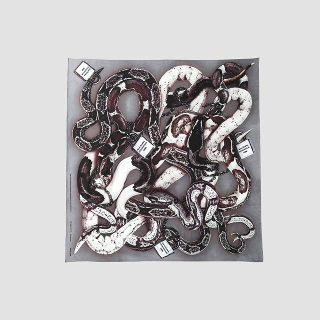 25Ss Spring And Summer Jennie Same Acne Studios Printed Silk Scarf Two Pieces