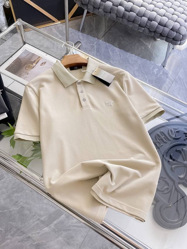 arcteryx Arc'teryx 2025 Spring And Summer New Polo Shirt Business Casual Lape