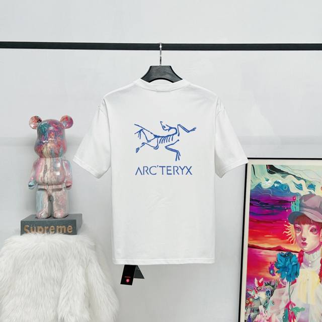 Style: S12 6 Colors Ayc Teryx Arc'teryx 2025Fw Short-Sleeved T-Shirt Bird Letter