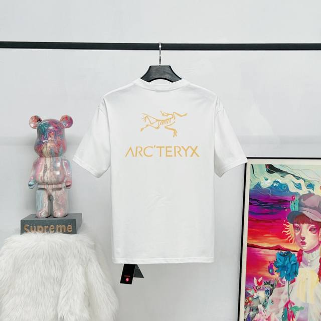 Style: S12 6 Colors Ayc Teryx Arc'teryx 2025Fw Short-Sleeved T-Shirt Bird Letter