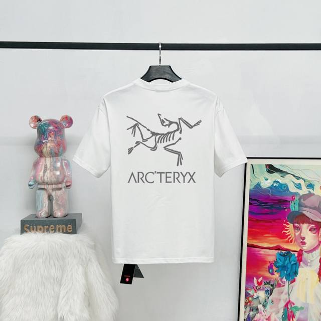 Style: S12 6 Colors Ayc Teryx Arc'teryx 2025Fw Short-Sleeved T-Shirt Bird Letter
