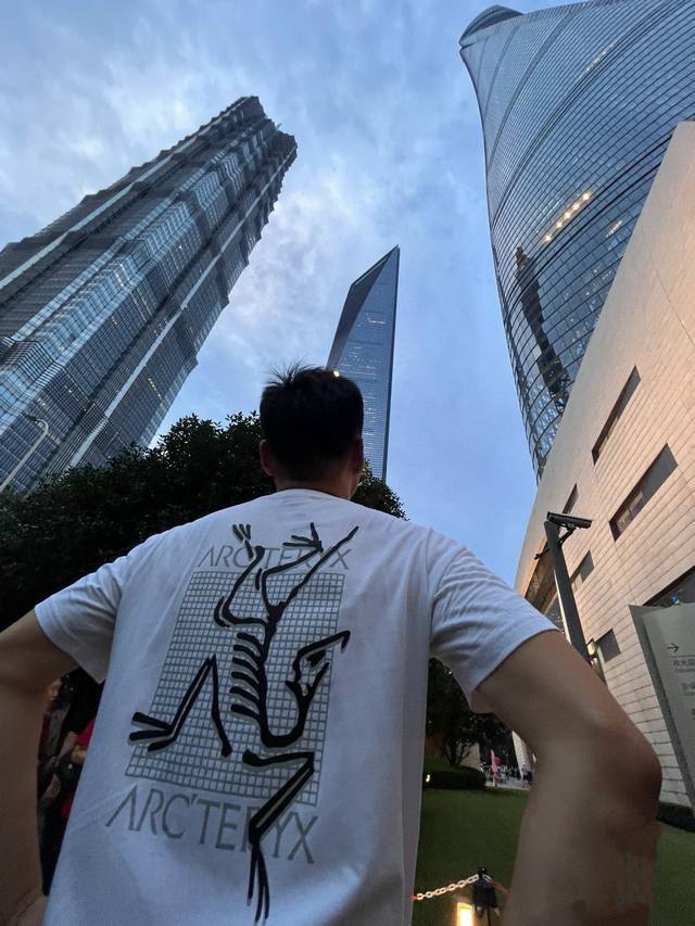 High quality Product name: Arc'teryx 24Ss bird print logo design on the back rou