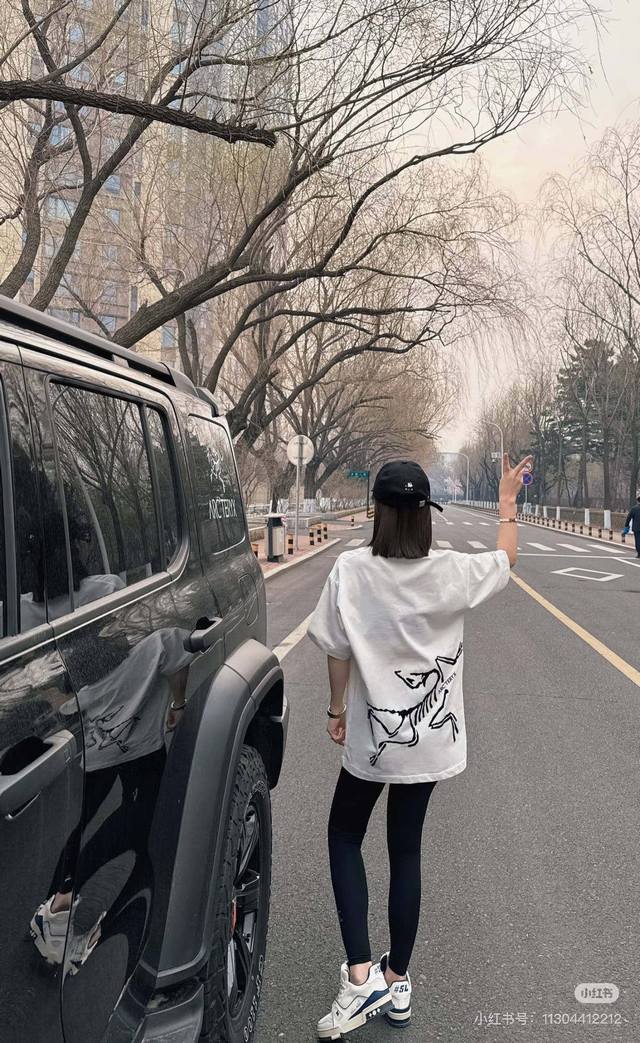 High quality Product name: Arc'teryx 24Ss big bird printed on the back Logo desi
