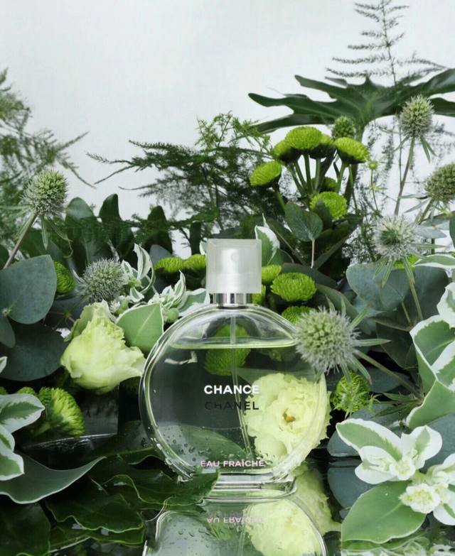 Chanel Chance Eau de Parfum 100ml, Chanel Green Chance Eau de Parfum. Seized by