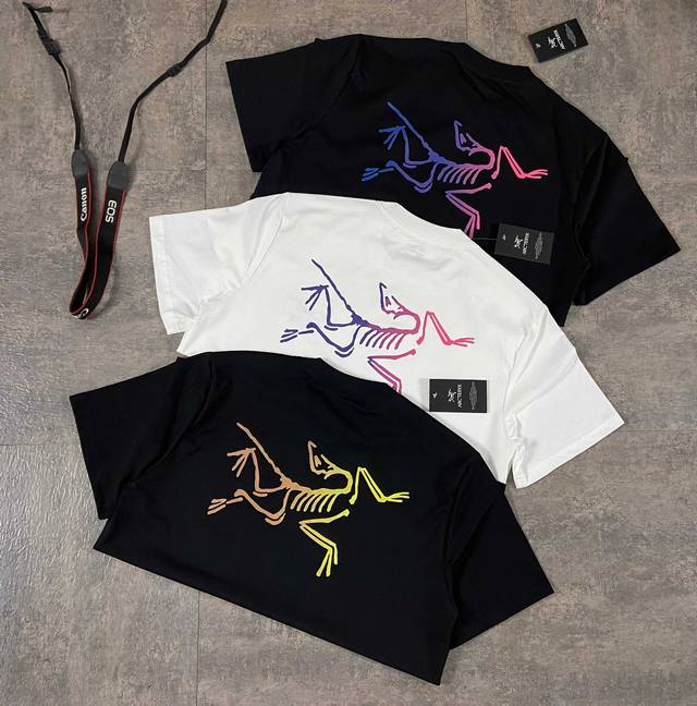 Arc'teryx gradient bird couple short-sleeved T-shirt! Loose version! The counter