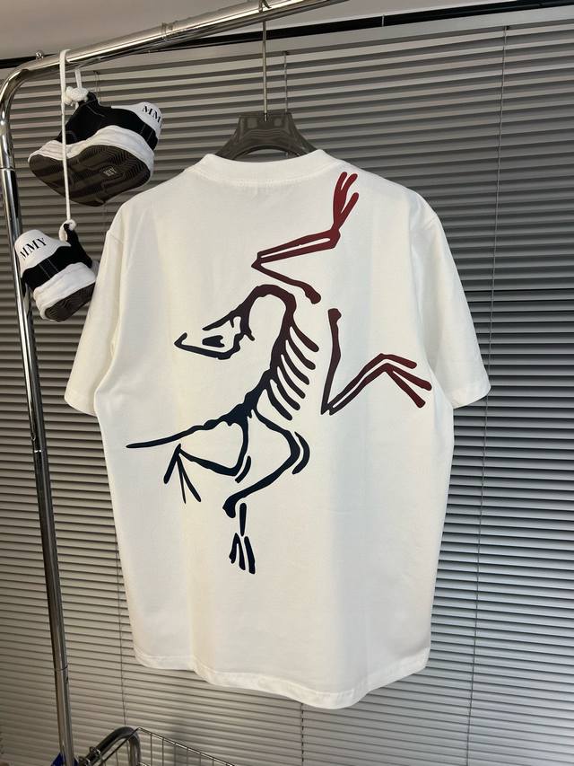 High quality Product name: Arc'teryx 24Ss Back gradient color big bird print Log