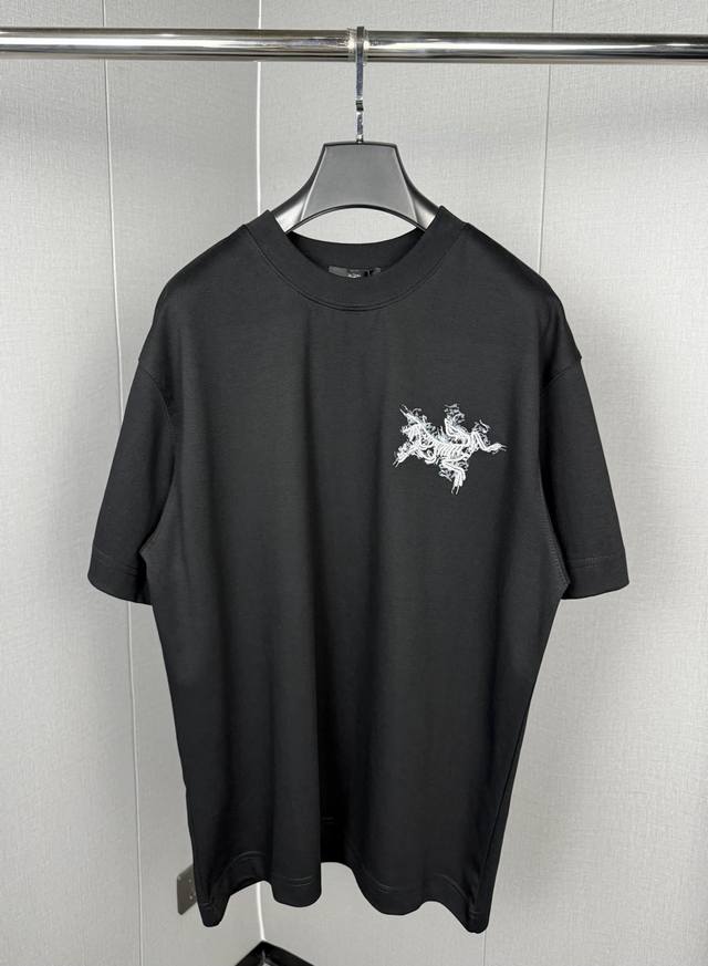 Arc'teryx new smoke letter print embroidered T-shirt Loose casual short-sleeved