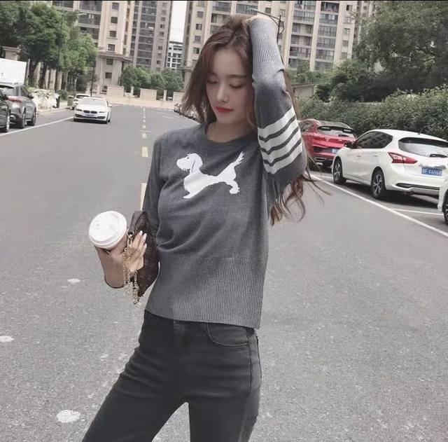 Promotional price Tb puppy jacquard pullover sweater, counter synchronization, b