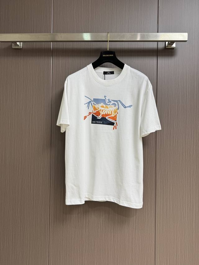 Arcteryx Arcteryx Logo illustration print round neck loose American retro short-