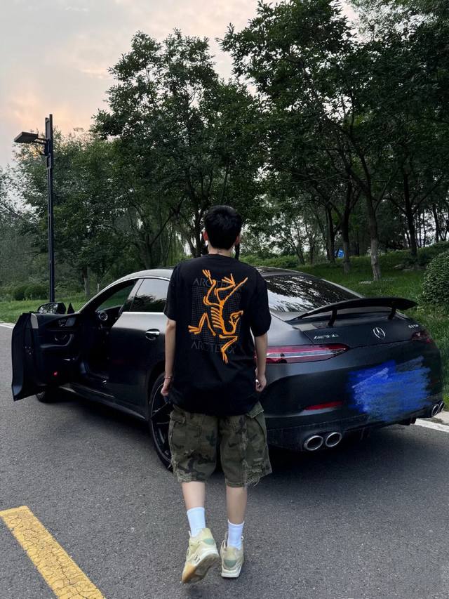 High quality Product name: Arc'teryx 24Ss back grid bird print Logo design Unise