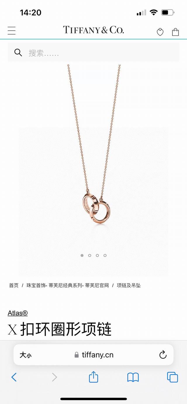 Tiffany&Co. latest Atlas X series double-ring necklace. The highest version of T