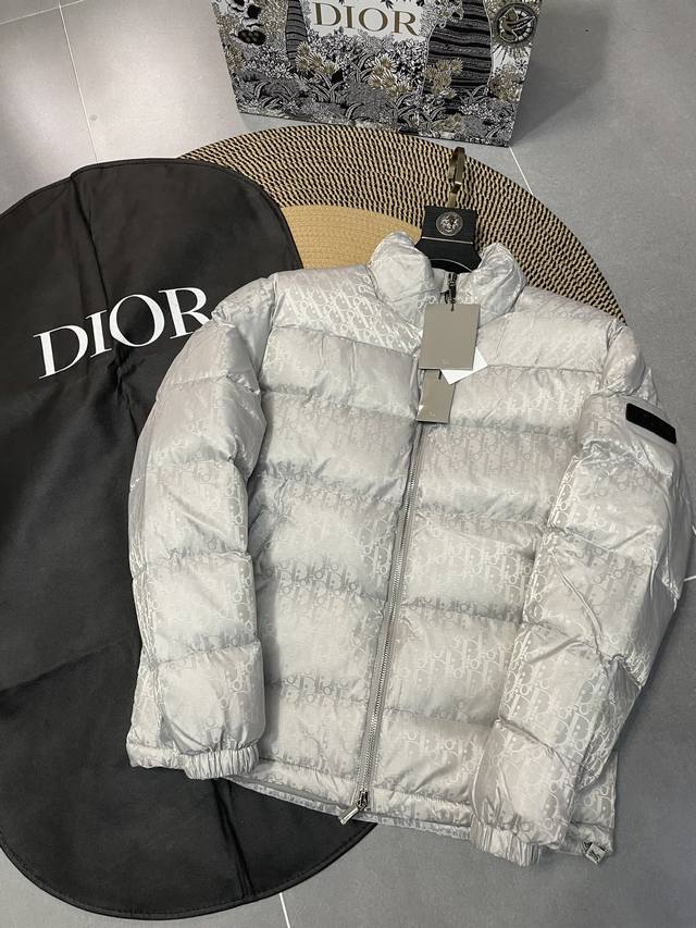 A silver-gray Dior 23Fw Oblique stand-up collar down jacket, the same style as t