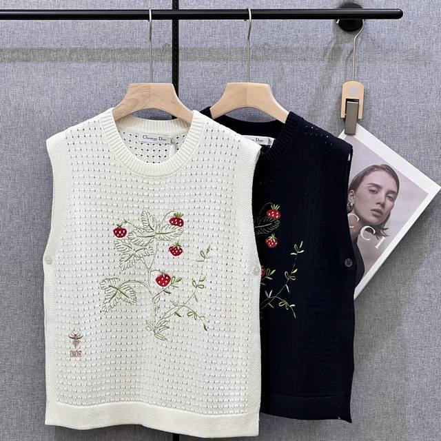 Dior#S autumn and winter new official website embroidery series vest Sml wool DD