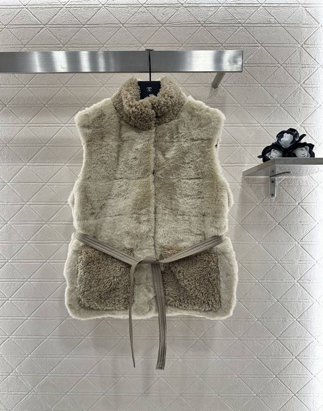 Moncle's 2025 new arrival, Teddy Plush Snap-Button Down Vest. The front panel is