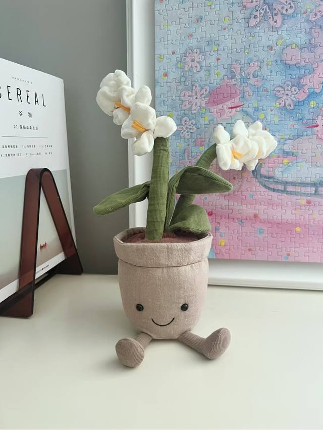 Interesting White Orchid Potted Plant The white orchid flowers are white, giving