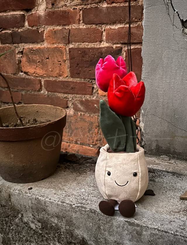 Fun Tulip Pot Beautiful petals that never fade This charming little friend has a