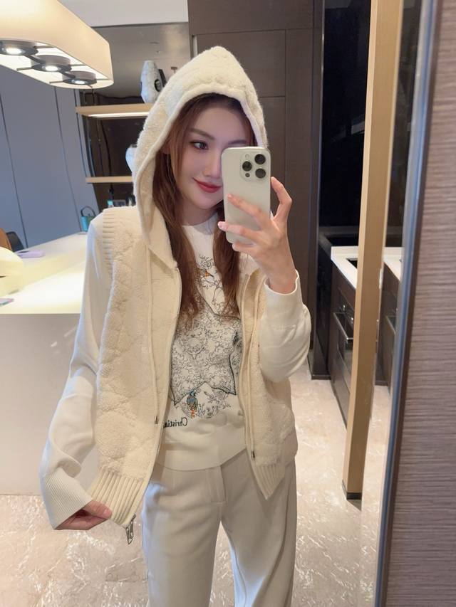 New Arrival * Dior Butterfly Embroidered Hooded Lamb Vest Jacket Wool knit mate