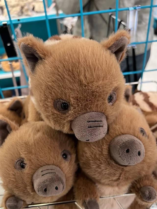 Jellycat Kawaii Little Wild Boar Who can resist the adorable critique of this fo