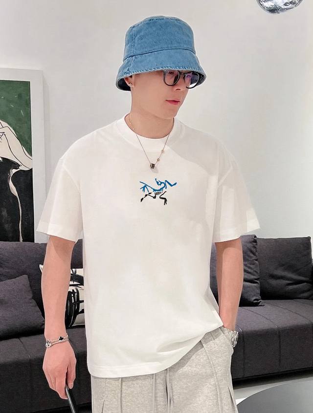 Arc'teryx's new T-shirt. High-weight, original single-piece recommended. 25S, un