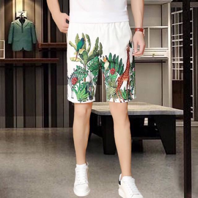 Dg Dolce & Gabbana's new summer collection features popular shorts on the offici