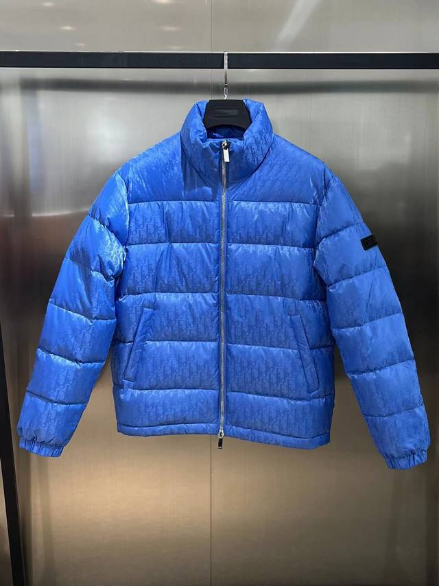 Dior Dior autumn and winter classic hit stand collar down jacket fashionable tre