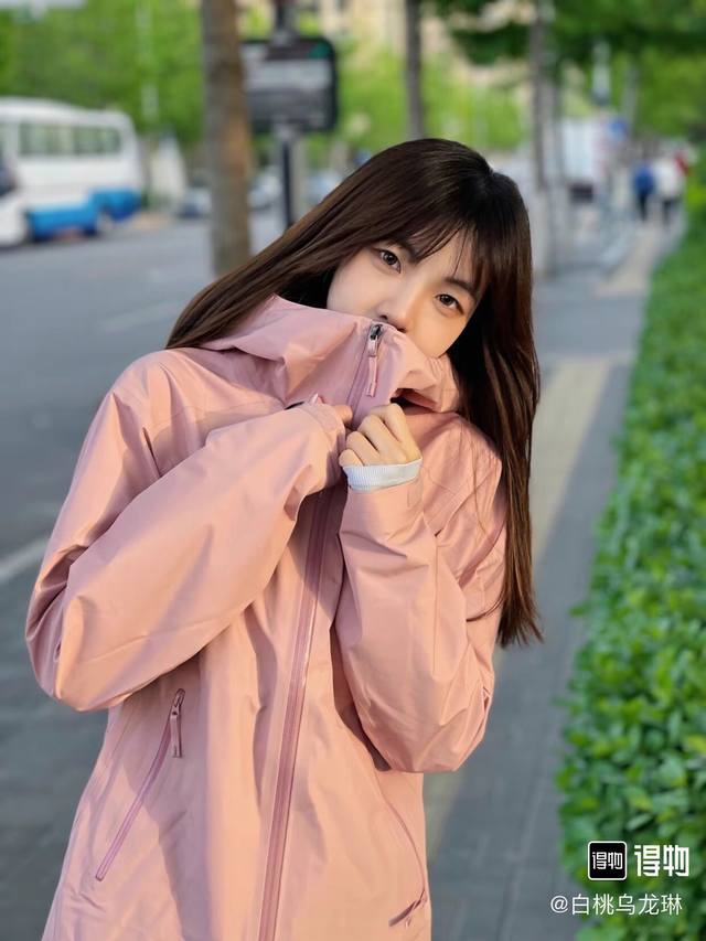 Arcteryx Beta Series Arc'teryx Beta Lt Jacket Solid Color Casual Sports Hooded