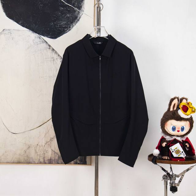 Zp version [Exclusive Supply] Little Bird 2025 new solid color simple embroidere