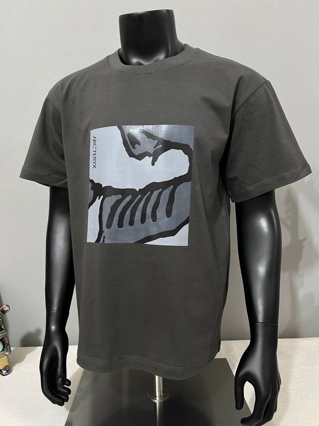 Arc'teryx New Arrival, Official & D&D Synchronized Skietle Ss Wool Men's T-Shirt