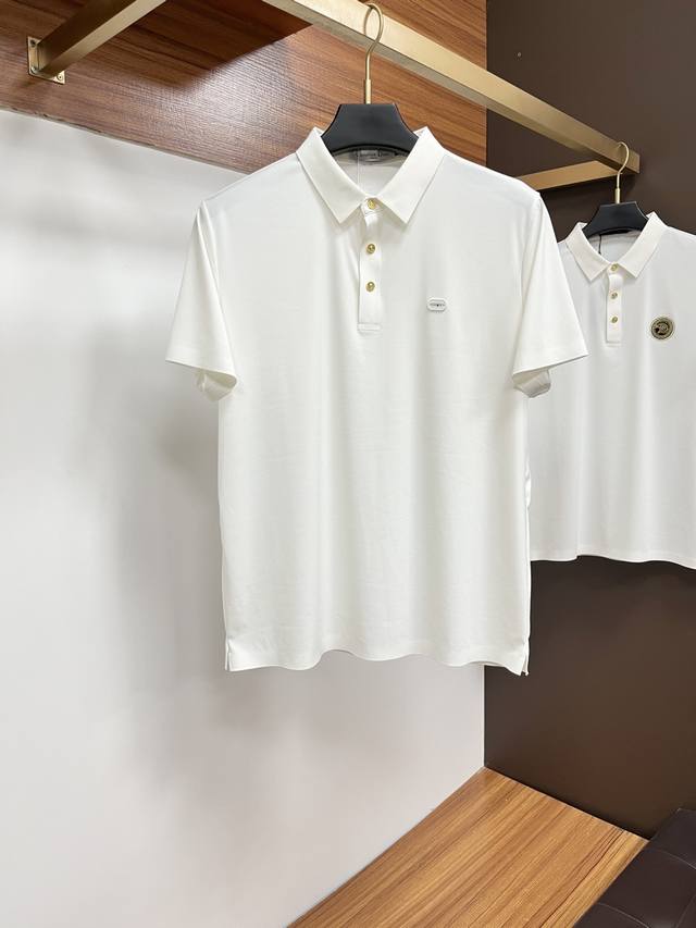 Dior 2025 New Polo Shirt with Lapel - Rarely available through trading companies