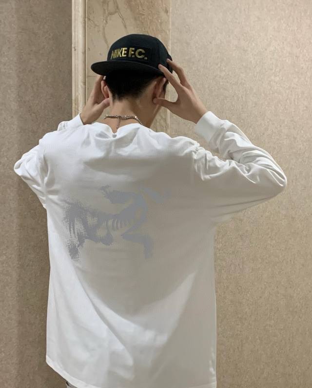 High Quality Product Name: Arc'teryx 24Ss New Style Blurred Big Bird Logo Print