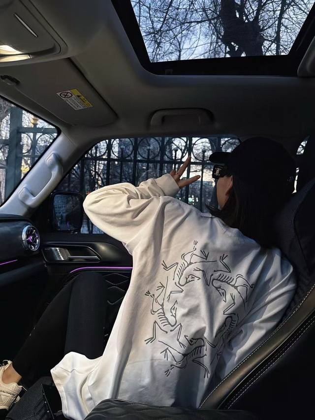 High Quality Product Name: Arc'teryx 24Ss 3M Reflective Print Kaleidoscope Loose