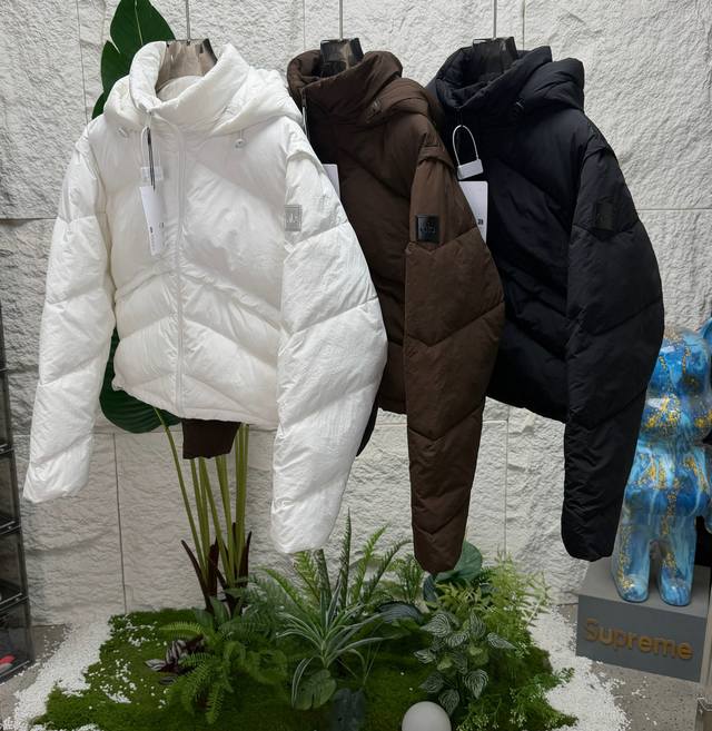 Short Cut Cotton Jacket (Retailer Grade) | Precise Warmth and Lightweight Silho