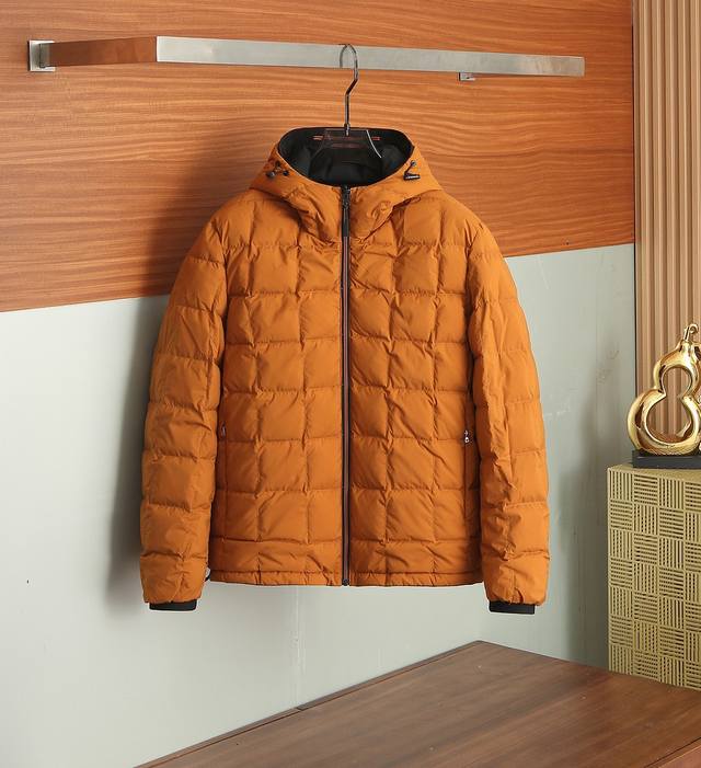 Another side of Zegna down jacket 86138 Ddd