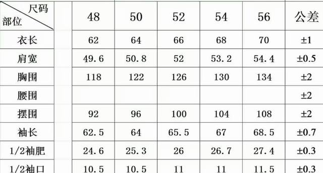 Balenciaga down jacket 9820 Ddd