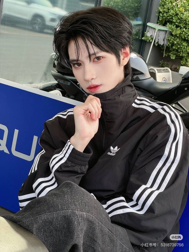 New Arrival! Adidas Originals Stand Collar Jacket, Unisex. The Originals series