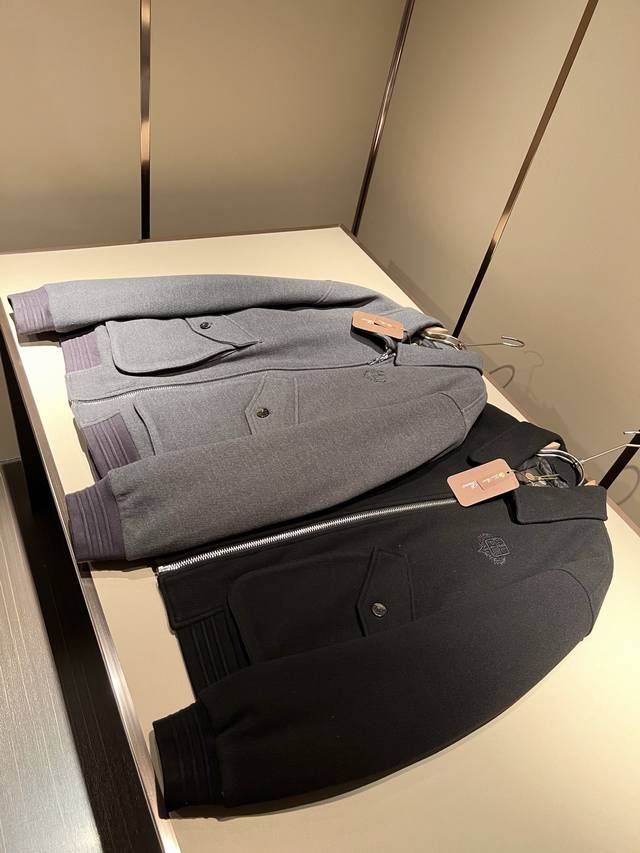 Loro Piana 2025 Autumn/Winter New Unisex Wool Down Jacket, featuring an embroide