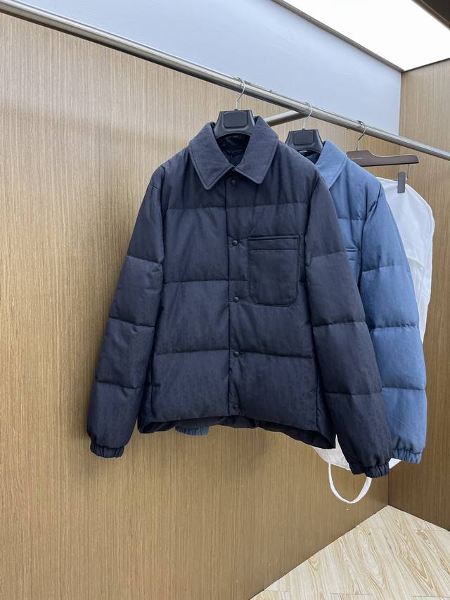 Autumn/Winter Down Jacket Di*R 25Fw New Printed Down Jacket with Premium Dust B