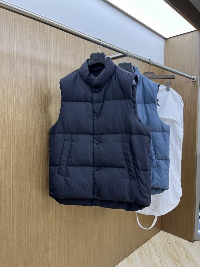 Autumn/Winter Down Vest (Di*R 25Fw) New Printed Down Vest with Premium Dust Bag