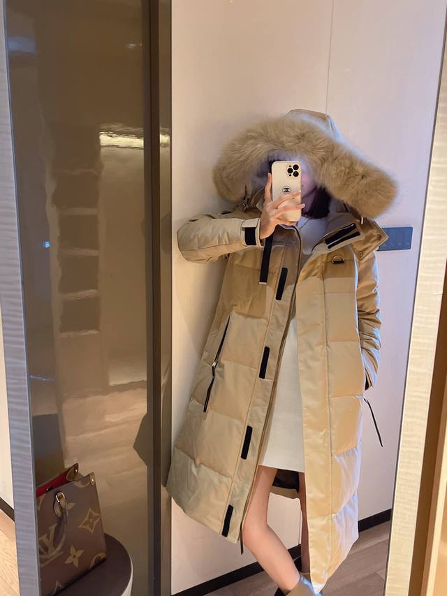 Ah262 Top picture DDD