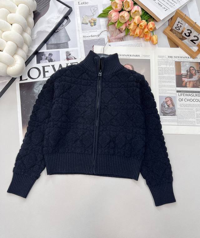 Dior Fall/Winter Diamond Quilted Stand Collar Butterfly Embroidery Zipper Wool C