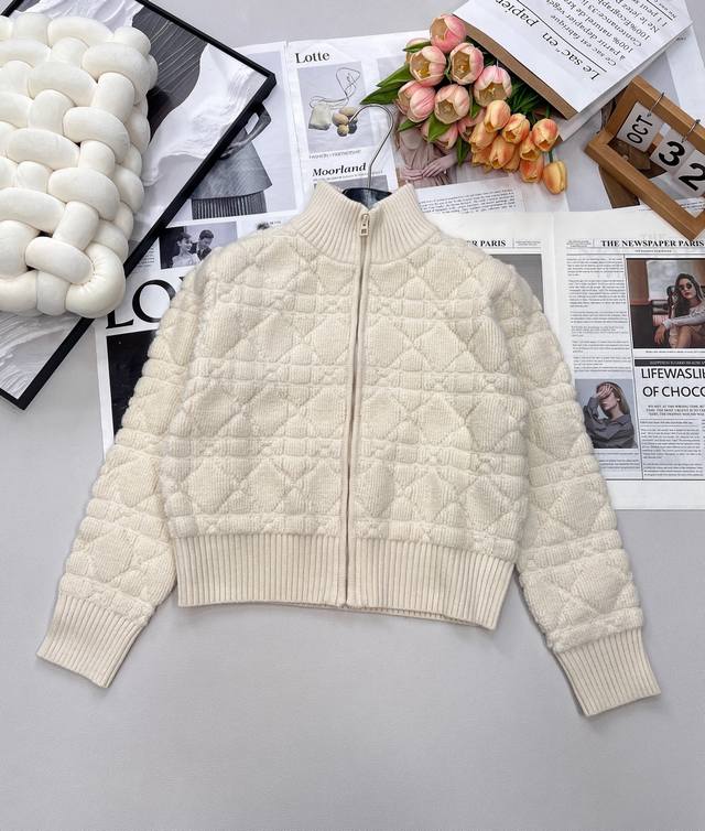 Dior Fall/Winter Diamond Quilted Stand Collar Butterfly Embroidery Zipper Wool C