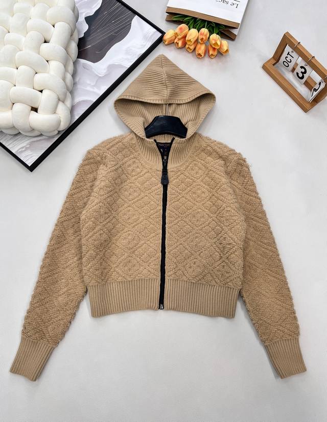 Louis Vuitton 2025 New Jacquard Knit Zip-Up Hooded Jacket Ski Series# Made with