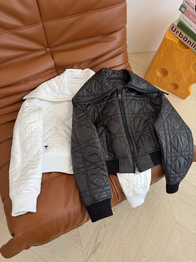 Trendy Winter Outfit: Bee Embroidered Cotton Jacket with Zippered Collar, Short