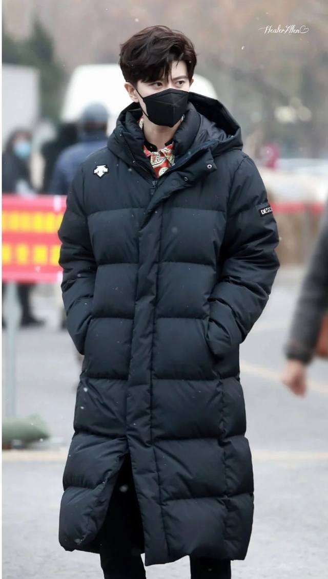 Model Image# Descente Long Down Jacket for Men and Women, Many Celebrity Styles,