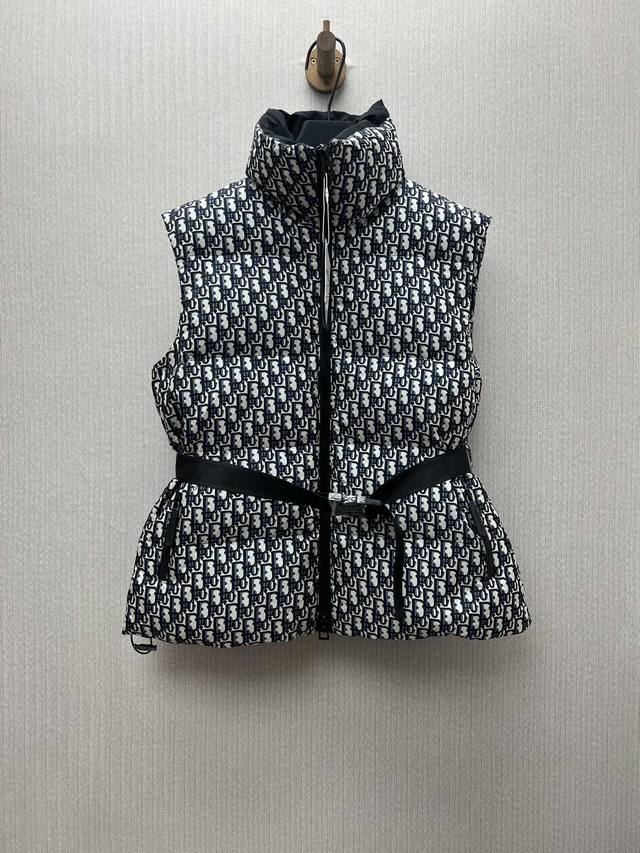 Dior 25Ss New Dioralps Oblique Printed Quilted Taffeta Stand Collar Vest for Wo