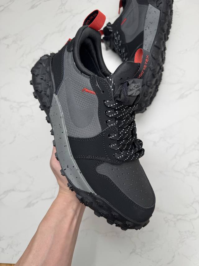 Collaboration Private Purchase Air Jordan 1 Element Gore-Tex Classic Durable Lo