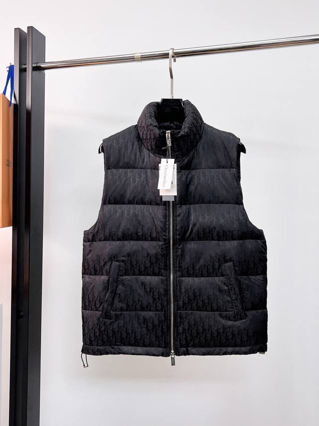 Dior 2025 Fall/Winter New Down Vest. This one is touted as the most expensive d