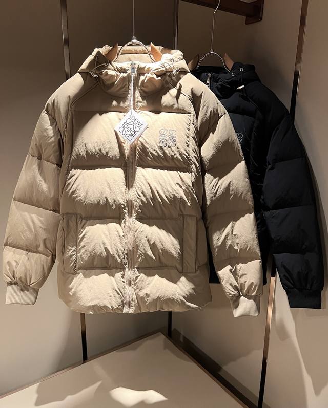 Lo*We 2025 Autumn/Winter New Down Jacket, sourced from a trading company, latest