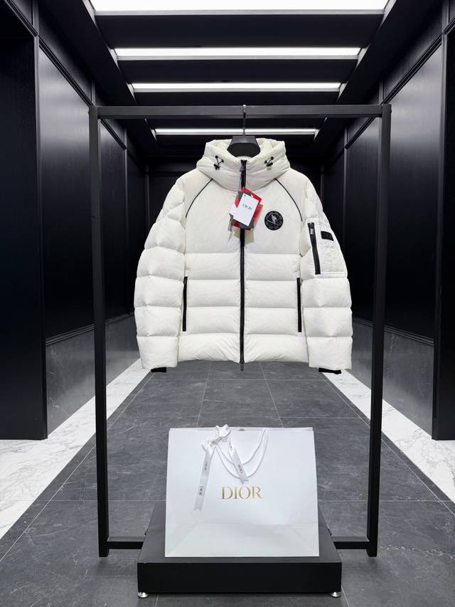 Premium Down Dior x Descente Limited Edition Ski Series Solid Color Hooded Logo